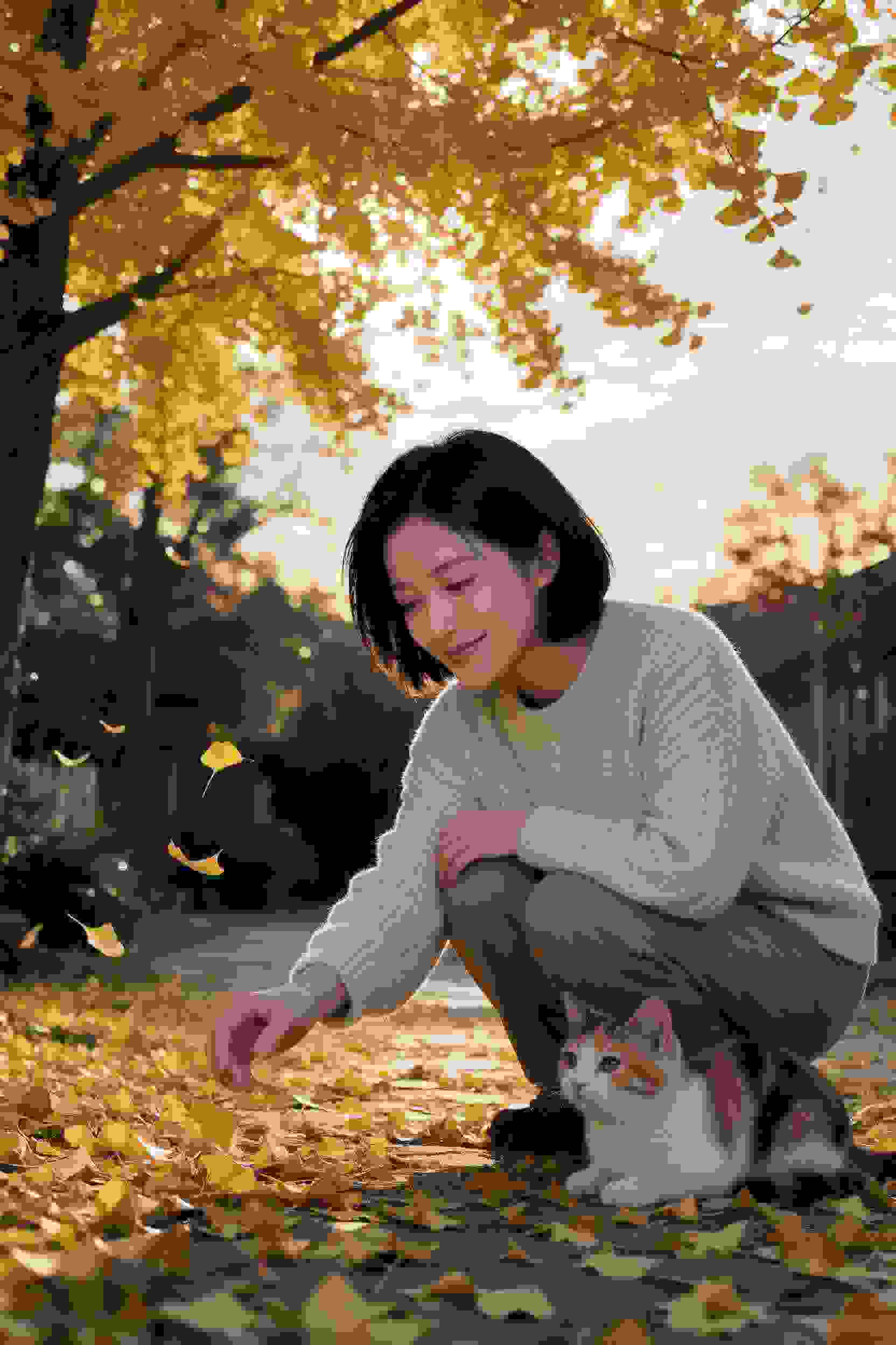 四季物语